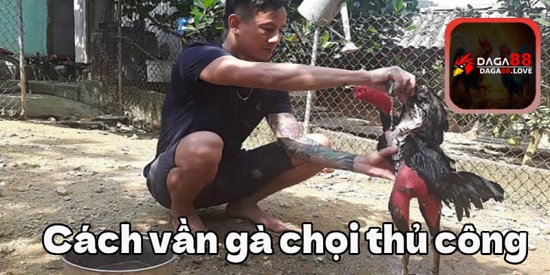 Cách vần gà chọi thủ công