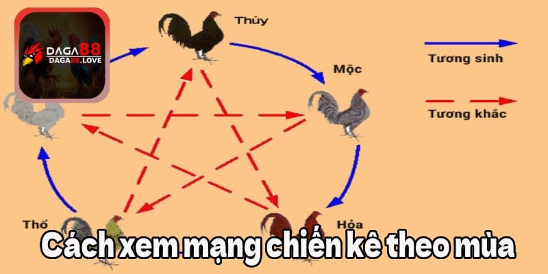 Cách xem mạng gà đá chiến kê theo mùa