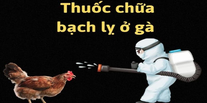 Thuốc Enrozin chữa bệnh bạch lỵ