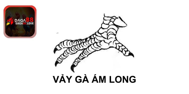 Vảy gà đá đẹp - Vảy ám long 