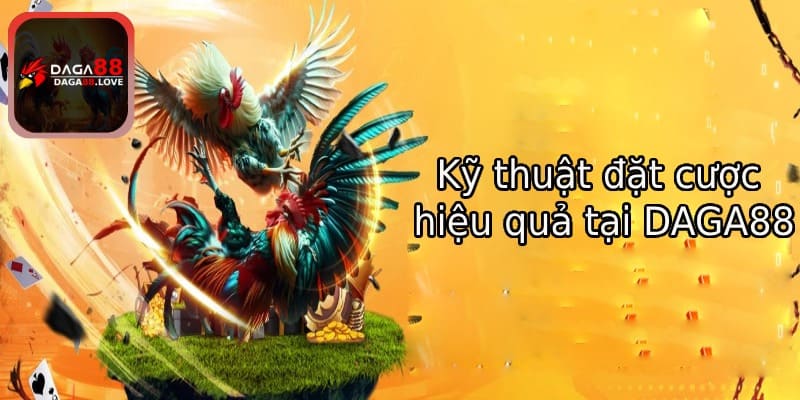 Kỹ thuật đặt cược hiệu quả