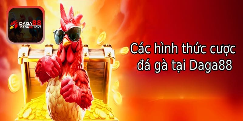 Các hình thức cược đá gà tại DAGA88