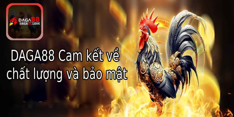 DAGA88 cam kết về chất lượng và bảo mật