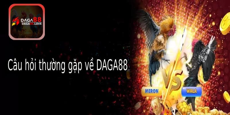 Câu hỏi thường gặp về nền tảng DAGA88