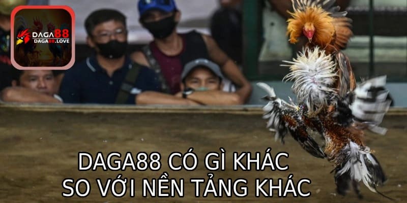 DAGA88 có sự khác biệt so với các nền tảng khác