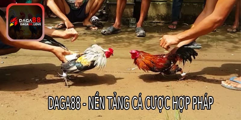 DAGA88 - nền tảng cá cược hợp pháp