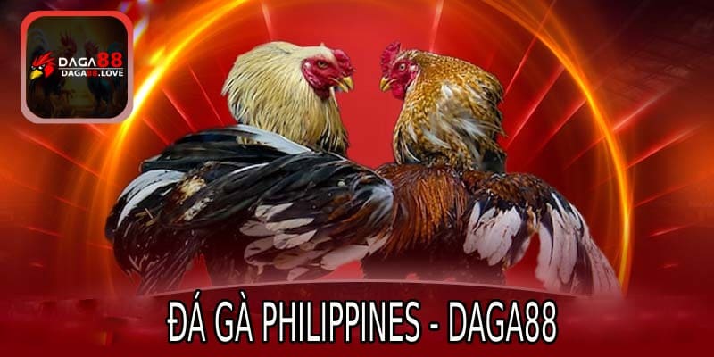 Sảnh đá gà Philippines - DAGA88